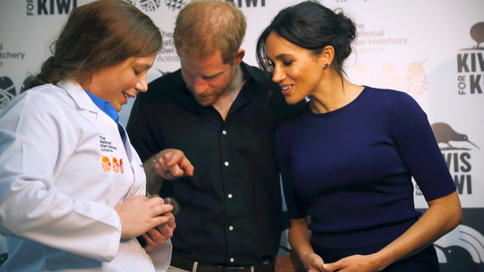 Royals Harry and Meghan name kiwi birds 'gift' and 'sneeze'