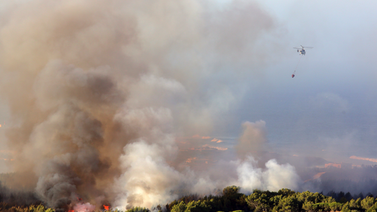 700 firefighters in Portugal battle wildfire west of Lisbon