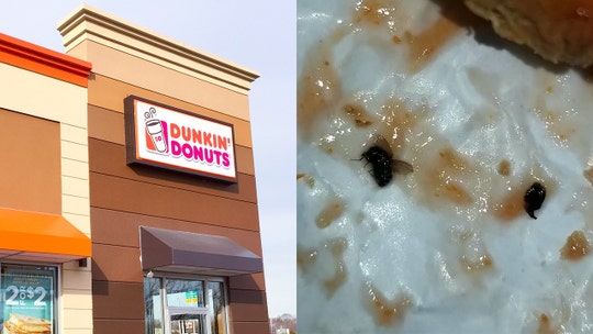 New Jersey woman claims her Dunkin' Donuts sandwich was 'crawling with bugs': 'I was screaming'