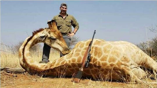 Idaho Fish and Game commissioner resigns after posing with animals he killed during Africa hunt