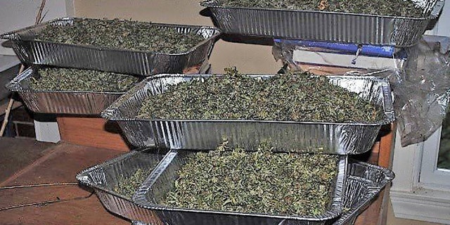 Rhode Island state police said they found at least five large aluminum trays full of pot
