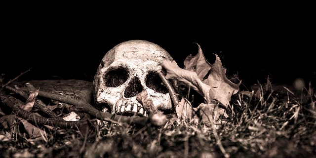 One man's Halloween decorations were so realistic, someone called 911.