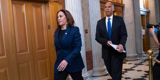 As a senator, Kamala Harris, with Democratic colleagues, demanded an investigation into the Trump administration's handling of the COVID-19 pandemic.