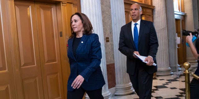 As a senator, Kamala Harris, with Democratic colleagues, demanded an investigation into the Trump administration's handling of the COVID-19 pandemic.