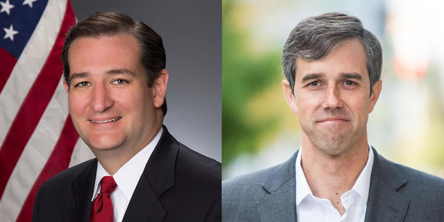 Political experts say the race in the Senate between incumbent Republican Senator Ted Cruz and his Democratic opponent, Congressman Beto O'Rourke, is the driving force behind this mid-term election. 