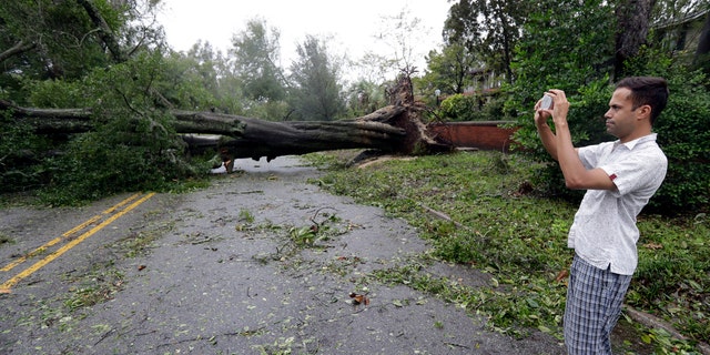 Shane Fernando takes a picture of a fallen tree near his home in Wilmington, North Carolina. Fernando worries about the approach of Hurricane Michael as he has damaged trees in his house and tarps cover some of the outdoors.