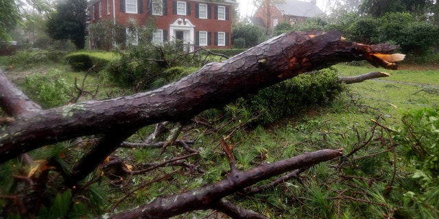 Tree-planted trees land in the yard and on a house in Wilmington, North Carolina, after Hurricane Florence touched down. In the Carolinas, exhausted by the storm, Hurricane Michael stirred new fears among homeowners with tarpaulins still covered by roofs or industrial dehumidifiers drying their floors several weeks after the passage of Florence. 