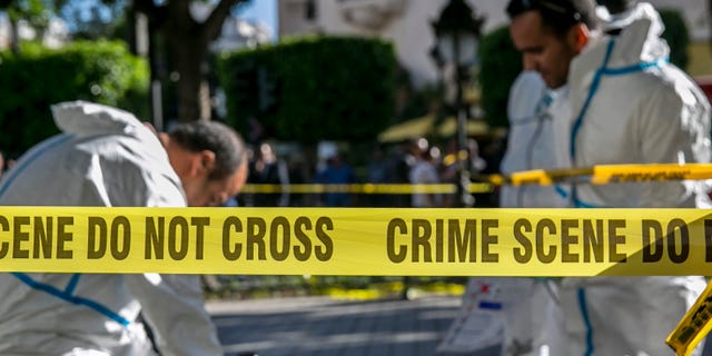 A suicide bomber blew herself up on a busy Tunis avenue on Monday afternoon, killing herself and wounding many others, Tunisia's TAP news agency reported. (AP Photo/Riadh Dridi)