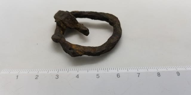 The Viking-era buckle.