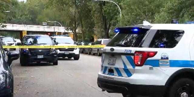 Douglass Watts, 73, was shot and killed Sunday morning in the Rogers Park neighborhood on Chicago's North Side while walking his dogs.
