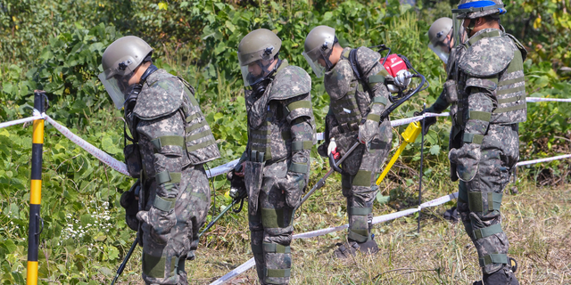 FILE - In this Oct. 2, 2018, file photo, South Korean soldiers search for landmines inside the Demilitarized Zone (DMZ) that separates the two Koreas in Cheorwon, South Korea. South Korea on Thursday, Oct. 25, 2018, said it has discovered what could be Korean War remains at a frontline area where it's jointly clearing mines with North Korea. (Song Kyung-Seok/Pool Photo via AP. File)