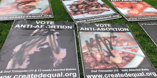 A left-wing student spray-painted and knocked down anti-abortion signs on campus.