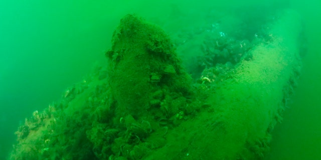 This Tuesday, Sept. 4, 2018, photo provided by Cleveland Underwater Explorers Inc. shows the remains of a shipwreck believed to be the Lake Serpent. (David M VanZandt/Cleveland Underwater Explorers Inc. via AP)