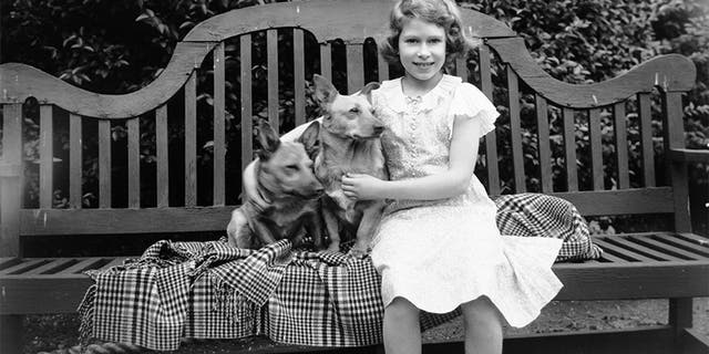 Queen Elizabeth’s last corgi dead at age 12, says report | Fox News