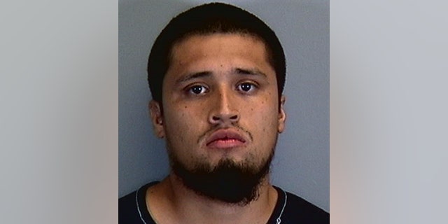 The 22-year-old Floridian was arrested for allegedly pelting his mother with sausages inside the kitchen of their Bradenton residence.