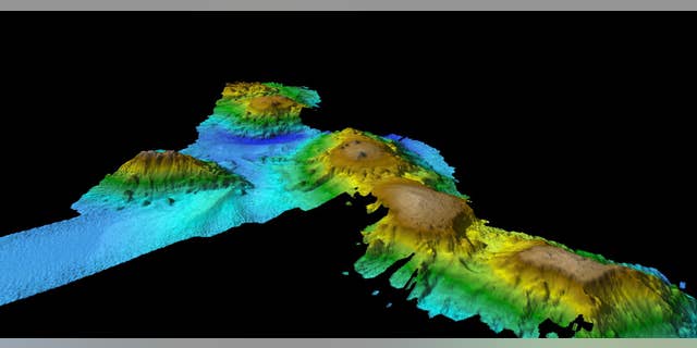 The seamounts were discovered off the coast of Tasmania