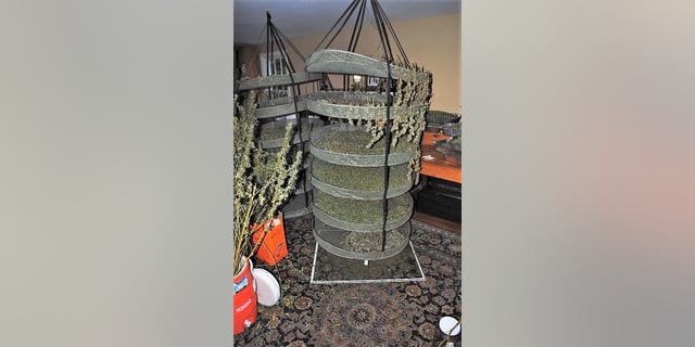 Police said they also found trays holding drying marijuana.