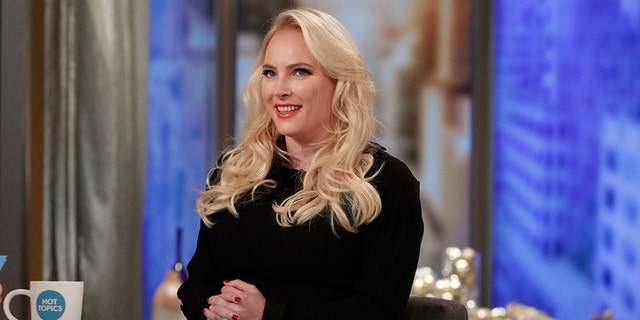 Meghan McCain and her "View" co-hosts got into a heated exchange during Wednesday's episode over President Trump's prime-time address about the border. 