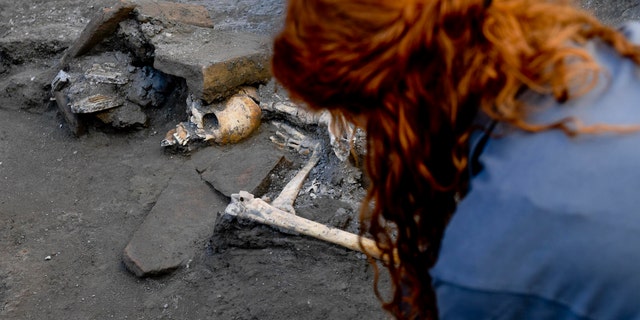 An archaeologist in inspects skeletons in the Pompeii archaeological site, Italy, Wednesday, Oct. 24, 2018. (Ciro Fusco/ANSA via AP)