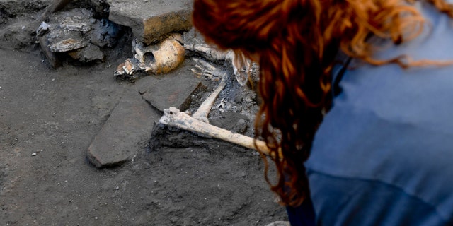 An archaeologist inspects skeletons in the Pompeii archaeological site, Italy, Wednesday, Oct. 24, 2018. (Ciro Fusco/ANSA via AP)