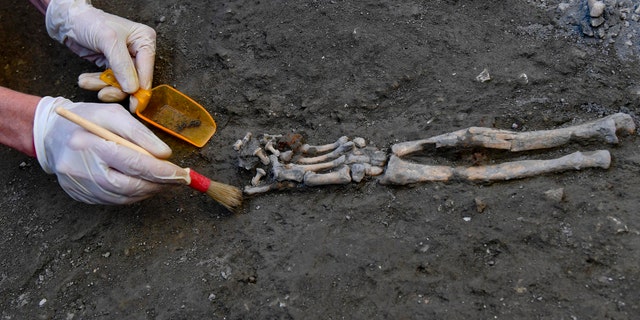 The undisturbed skeletons provide a glimpse of the devastating eruption of Mount Vesuvius in the year 79. Italy, Wednesday, October 24, 2018.