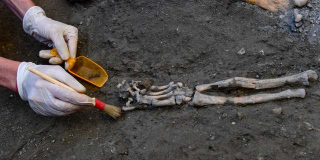 The undisturbed skeletons offer a glimpse into the devastating eruption of Mount Vesuvius in A.D. 79. Italy, Wednesday, Oct. 24, 2018.