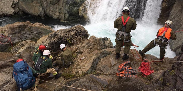 The bodies were found in the waters of the Malalcura estuary, about 260 miles south of Santiago, Chile.