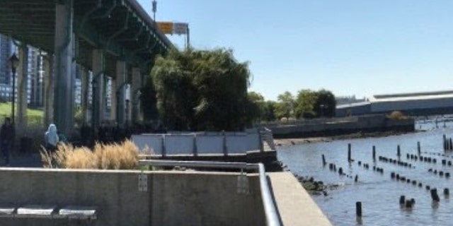 The discovery of two female bodies washed ashore from the Hudson River in New York City has prompted a police investigation. <br data-cke-eol="1">
