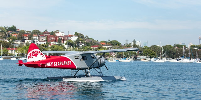 The new co-owner of Sydney Seaplanes said in a recent interview the current belief is that a passenger accidentally knocked out the pilot, possibly while taking a photo.