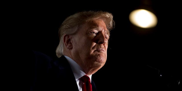 President Donald Trump pauses while speaking at a rally at Southern Illinois Airport in Murphysboro, Ill. Trump says he wants to order the end of the constitutional right to citizenship for babies of non-citizens and unauthorized immigrants born in the United States. (AP Photo/Andrew Harnik, File)