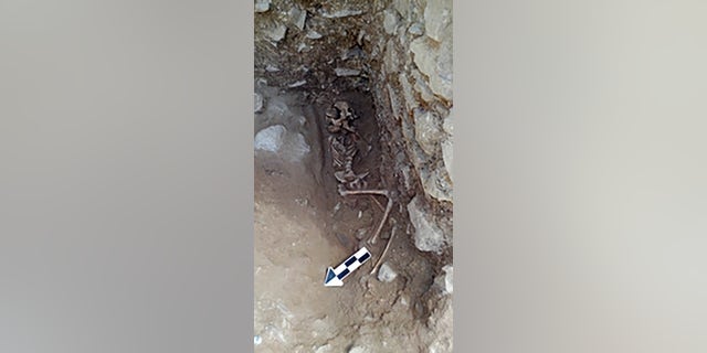 The 10-year-old was discovered lying on its side in a fifth-century Italian cemetery previously believed to be designated for babies, toddlers and unborn fetuses. (Photo courtesy of David Pickel/Stanford University)