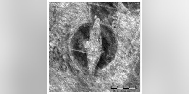 Georadar revealed the outline of the Viking ship. (NIKU)