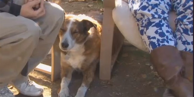 The couple told FOX28 it was "either Alex found a new home or we stopped using meth," and that there was no way they could have gotten rid of their four-legged addition.