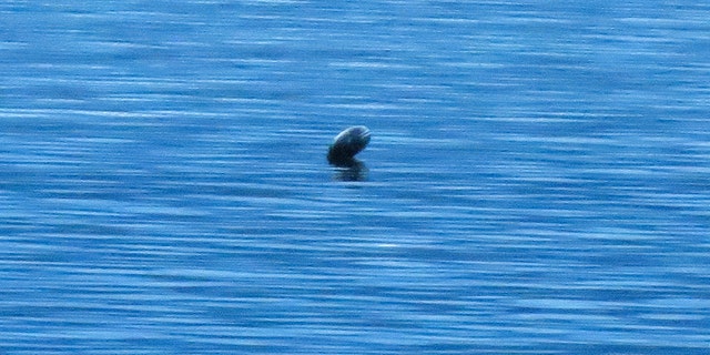 Canadas Loch Ness Monster The Legendary Ogopogo Lake