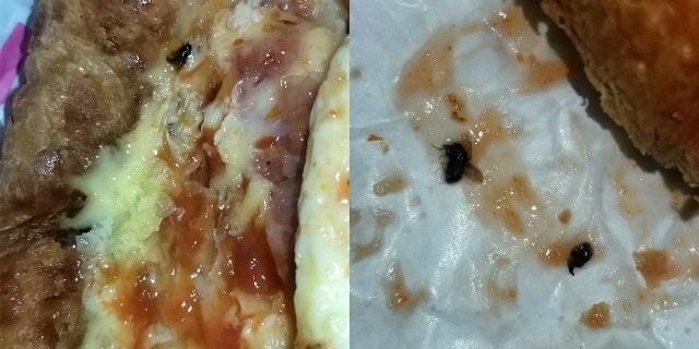 "The bacon inside was pink and crawling with bugs, it was disgusting. It was not normal. I was terrified to touch it."