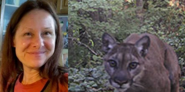 Diana Bober, 55, was killed in a suspected cougar attack in September.
