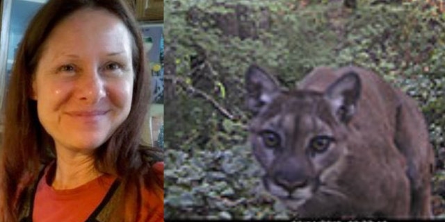 Diana Bober, 55, was killed in a suspected cougar attack in September.