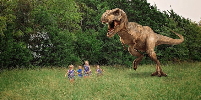 The family plans to throw a dinosaur-centric gender reveal party for the baby soon, too.