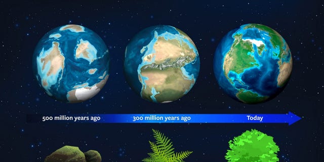 Earth's history could be used to spot plant life on alien worlds | Fox News