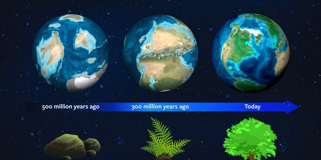 Earth’s natural history may now serve as a guide for astronomers to spot exoplanets. About 500 million years ago, this planet had a different light signature due to the dominance of moss. About 300 million years ago, ferns dominated and mature plant forms rule today - strengthening our planet’s light signature (Jack O'Malley-James/Wendy Kenigsberg/Brand Communications).