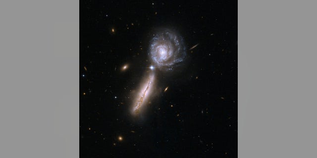 The spiral galaxies UGC 9618 and VV 340, which are about to collide. Astronomers believe such galaxy mergers also usually involve the merger of the supermassive black holes at galaxies’ cores.