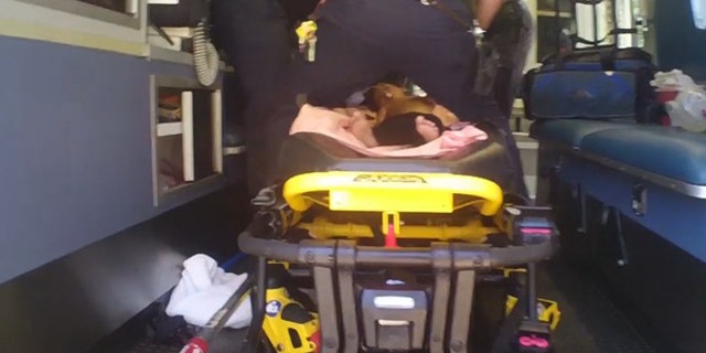 The two officers arrived at the home before paramedics, and were able to quickly jump into action to perform CPR on the boy.