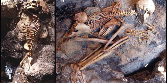 Skeletons showing "life-like" stance: A child (A) and a young adult male (B) unearthed from the ash surge deposit. The child’s corpse displays flexure only of the upper limbs, indicative of an incipient “pugilistic attitude”. Full exhibit of this heat-induced stance is never found in the victims' corpses discovered at Herculaneum. (Credit: PLoS One)