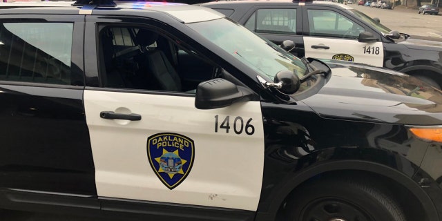 Oakland police said they are investigating whether a human head found in a residential backyard on Friday is related to the discovery of a headless corpse in the area last month.