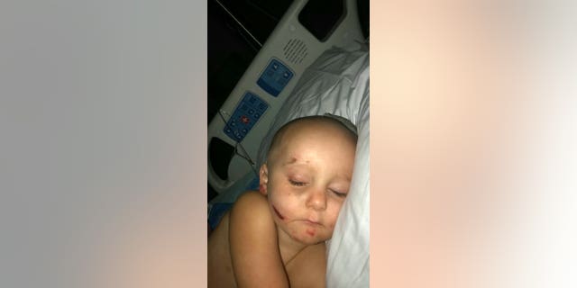 Sage's mom Jamie Wilson, 29, had been watching the toddler and her other children Pepper, 5, and Parslee, 4, play on their swing set with her friend when she went inside to use the bathroom.