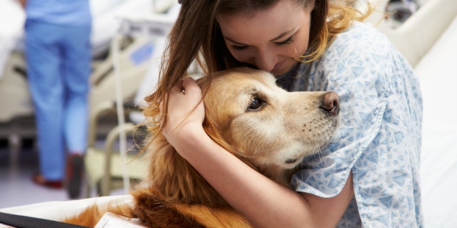 Children who spent more time with dogs were six times more likely to contract the super bacteria than children who spent less time with pets.