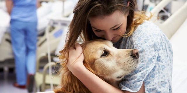 Kids who spent more time with the dogs had a 6 times greater chance of coming away with superbug bacteria than kids who spent less time with the animals.