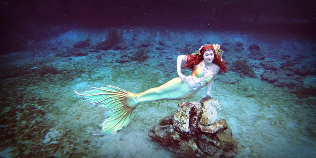 Mermaid Gina Wild Porn - Professional mermaid' says creepy 'merverts' are the worst ...