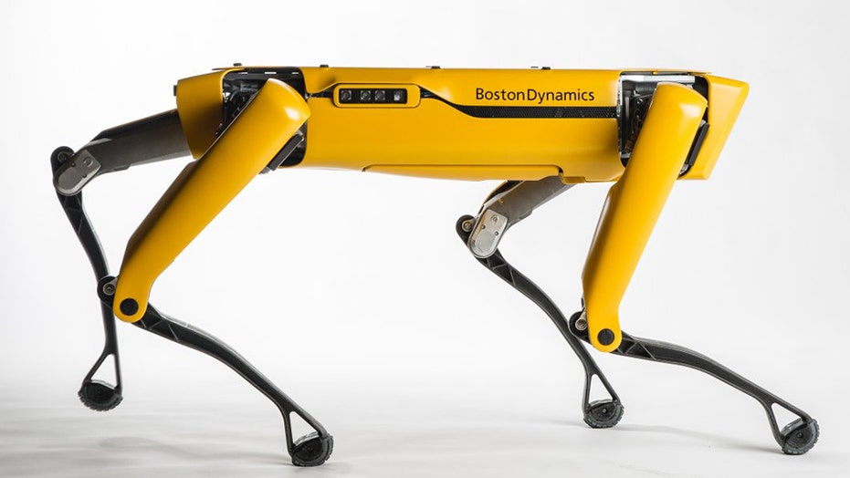 Boston Dynamics creepy robot dog is patrolling parks to encourage