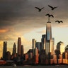 A flock of seagulls flies over Lower Manhattan and One World Trade Center at sunset in New York City, Oct. 17, 2018.